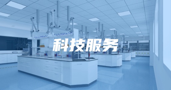 科技服務